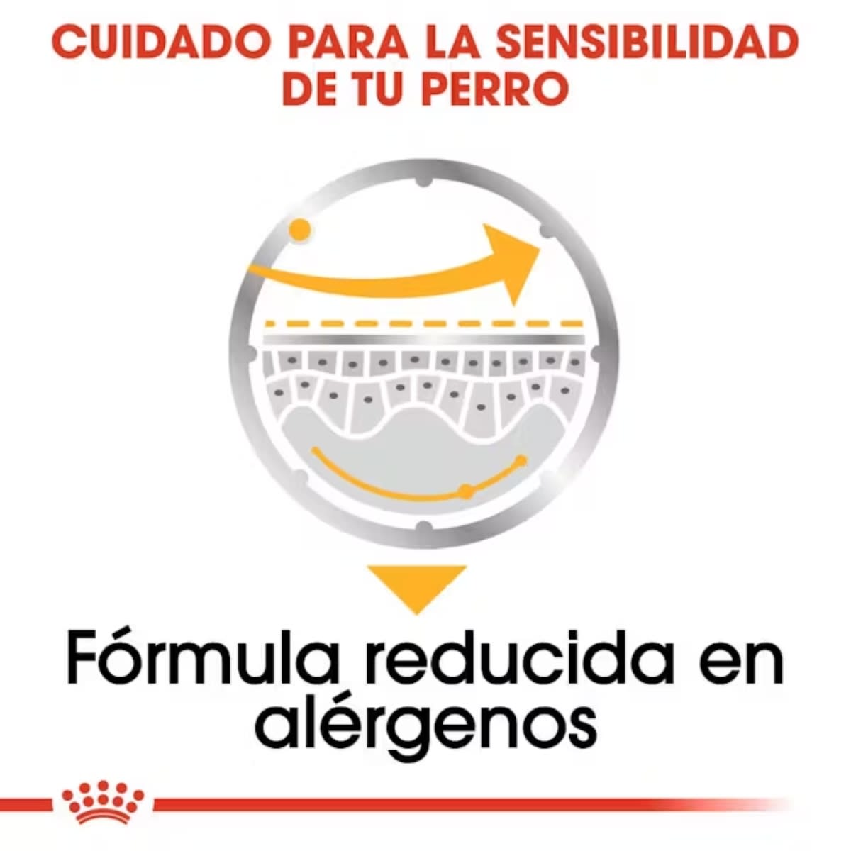 ROYAL CANIN CCN DERMACOMFORT SACHET 85 G3