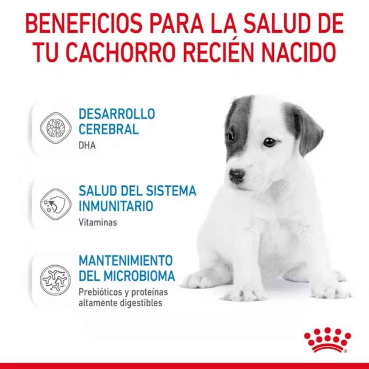 ROYAL CANIN DOG SHN PRO BABYDOG MILK 400 G4