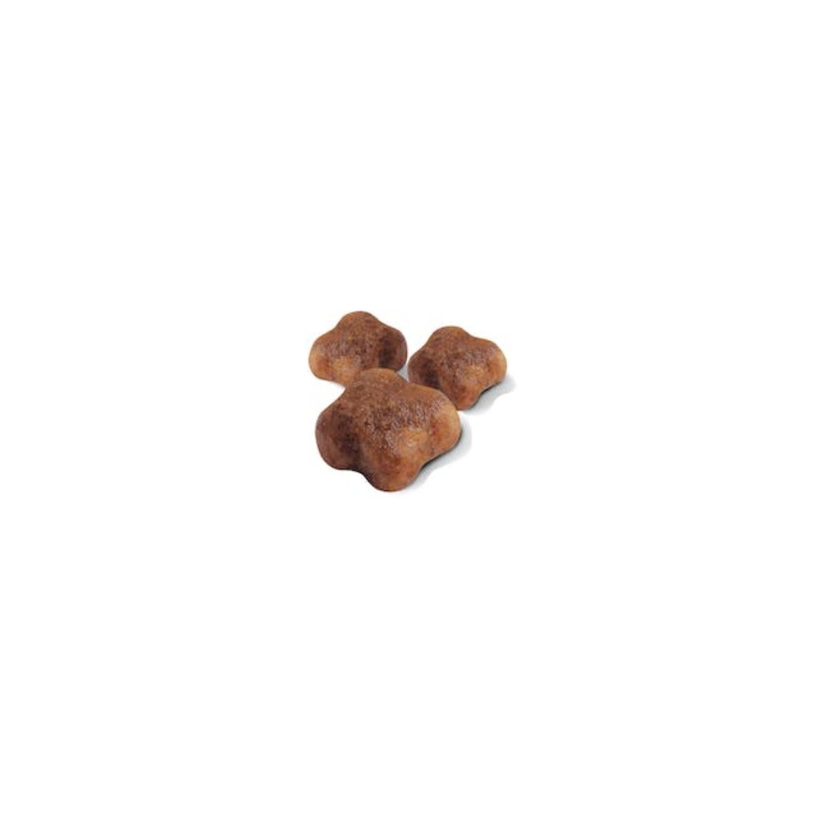Royal Canin Cat FHN Mother & Baby2