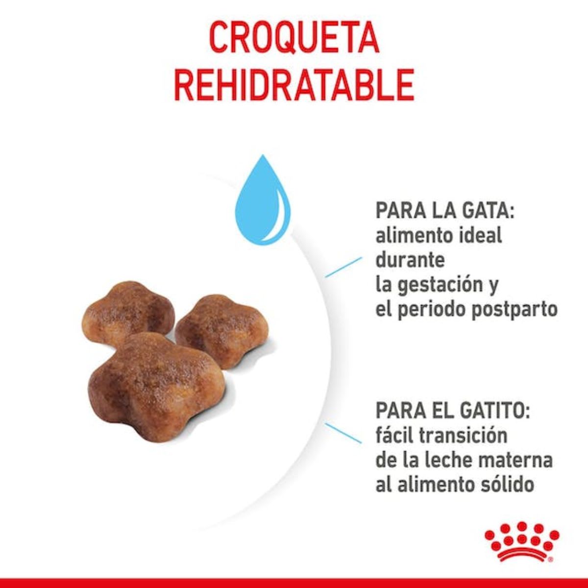 Royal Canin Cat FHN Mother & Baby3