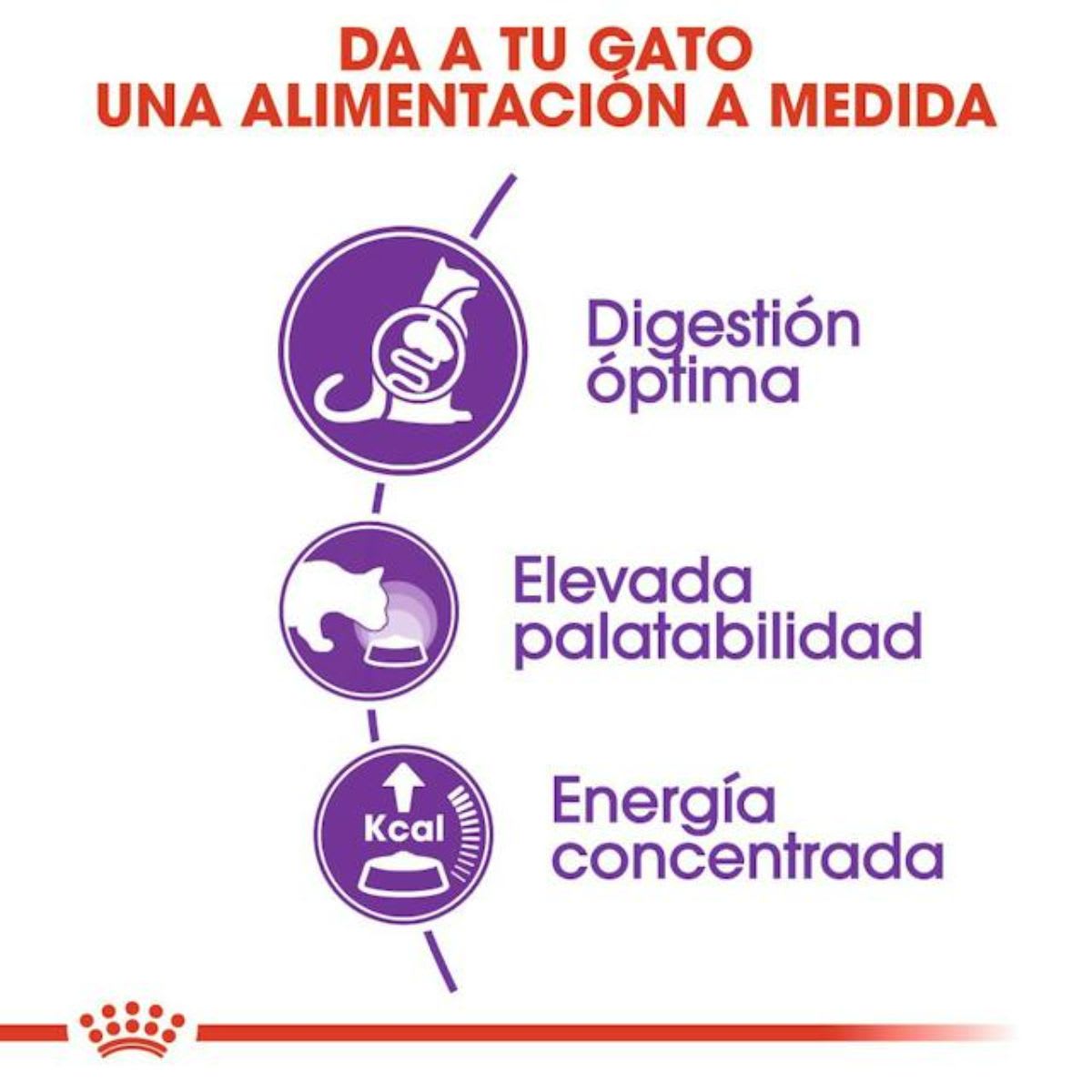 Royal Canin FHN Feline Sensible3