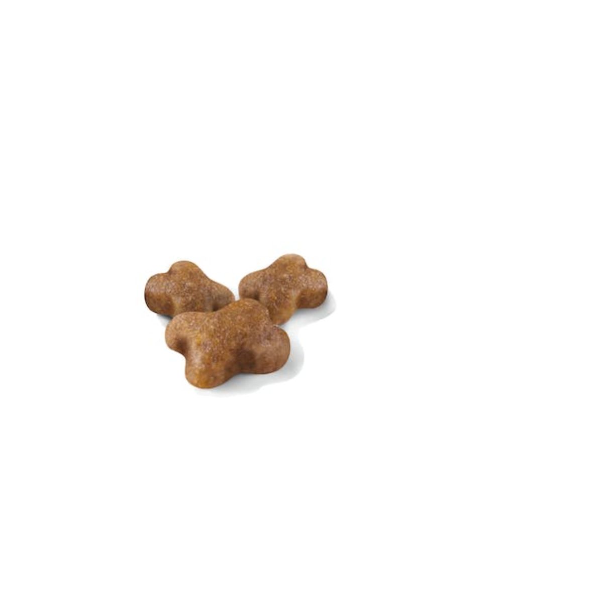 Royal Canin Cat FHN Kitten2