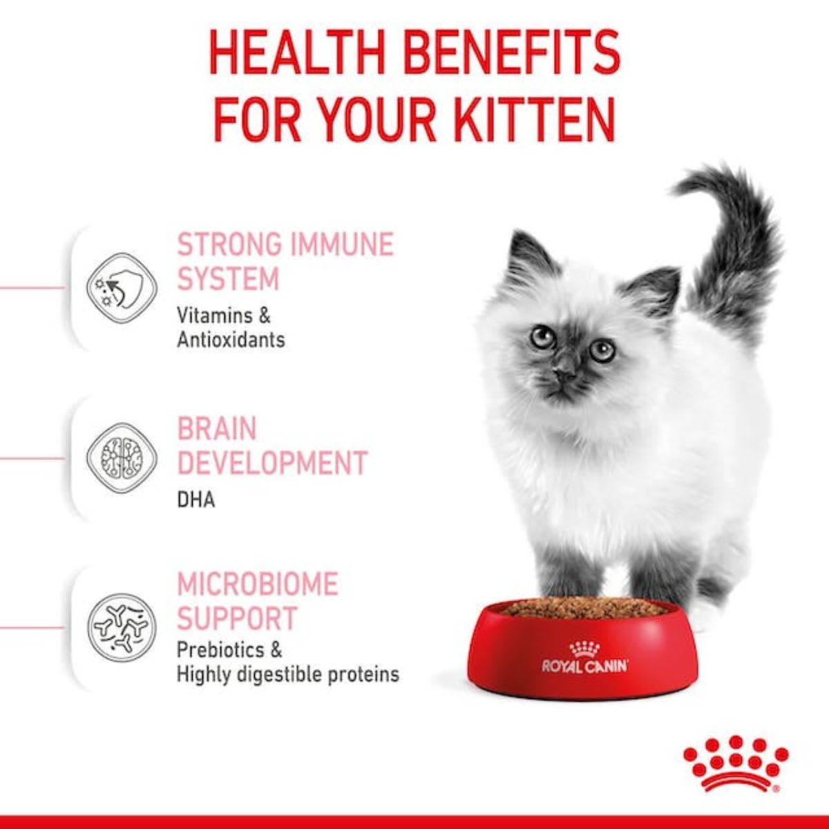 Royal Canin Cat FHN Kitten3