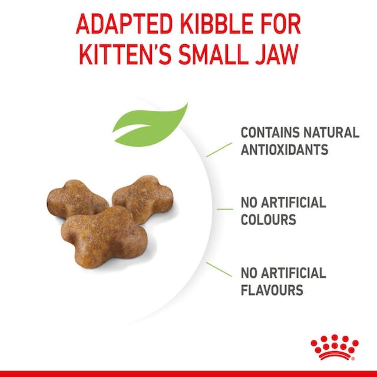 Royal Canin Cat FHN Kitten4