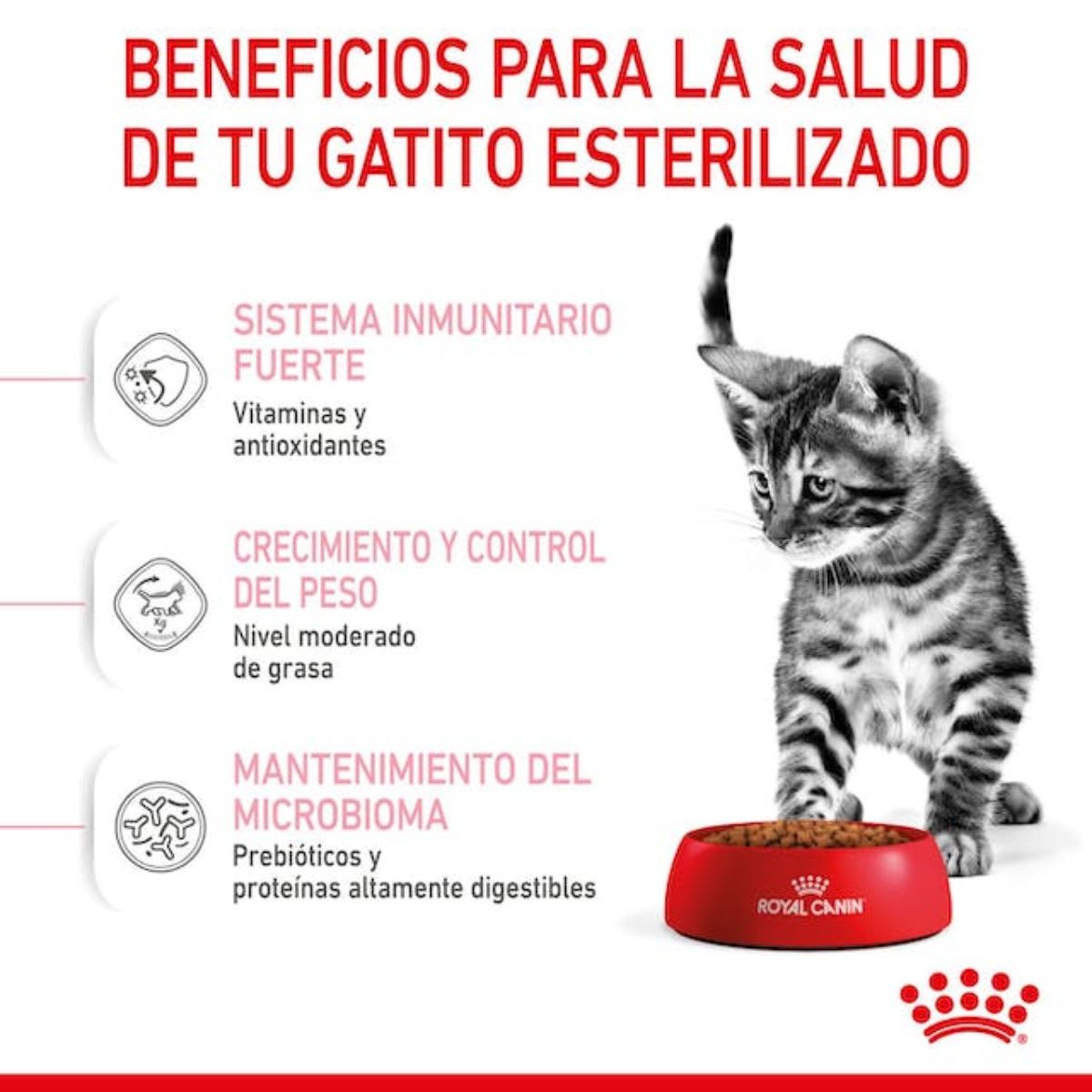 Royal Canin Cat FHN Kitten Sterilised3