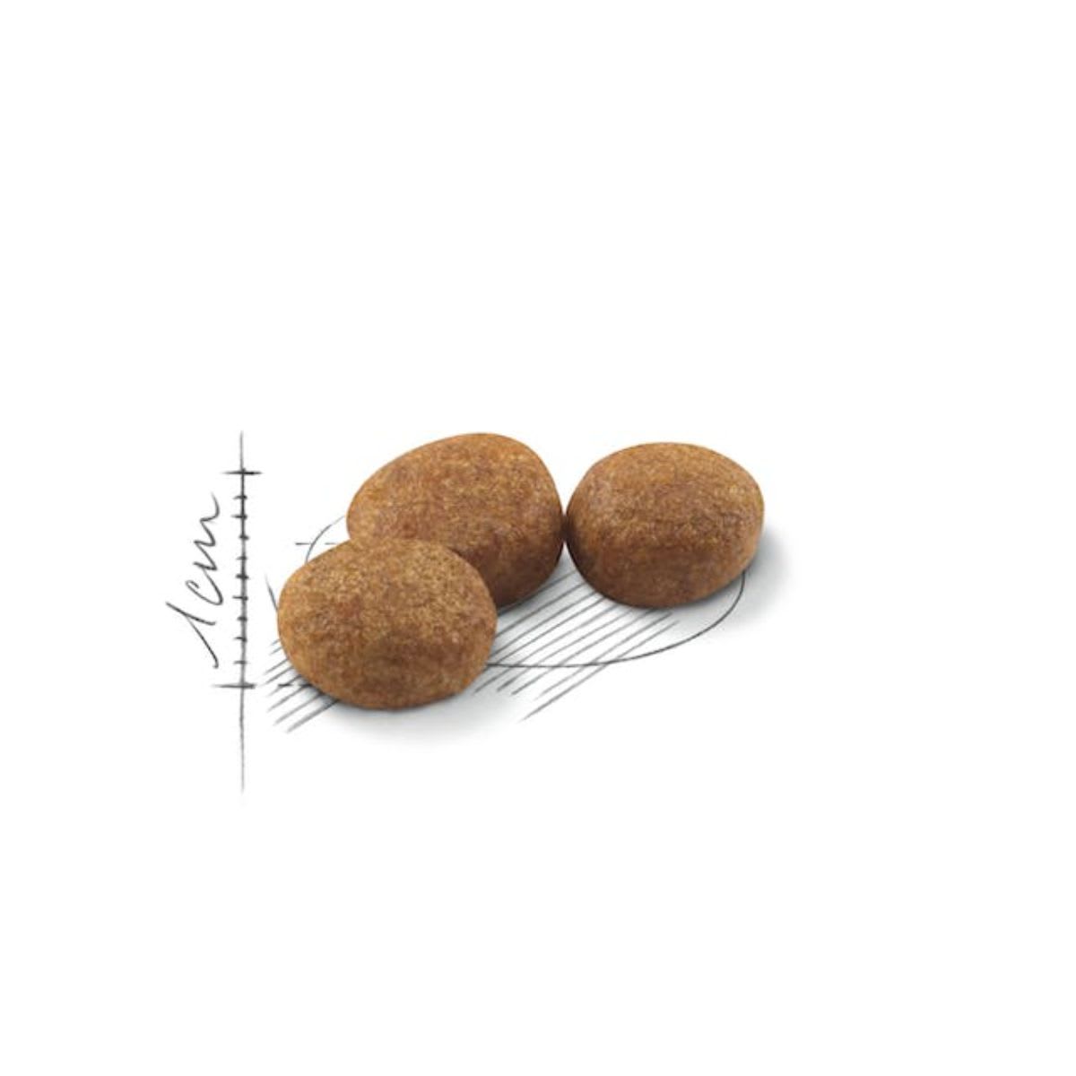 Royal Canin Cat FHN Sterilised 372