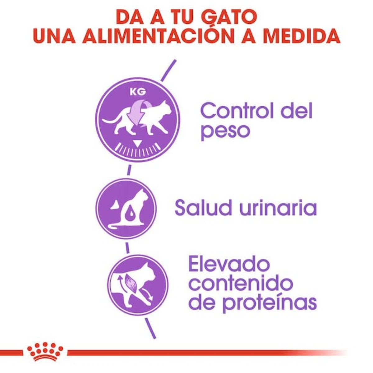 Royal Canin Cat FHN Sterilised 373