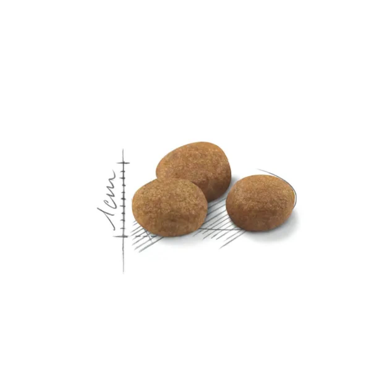 ROYAL CANIN CAT FHN STERILISED 7+ FD 1.5 KG2