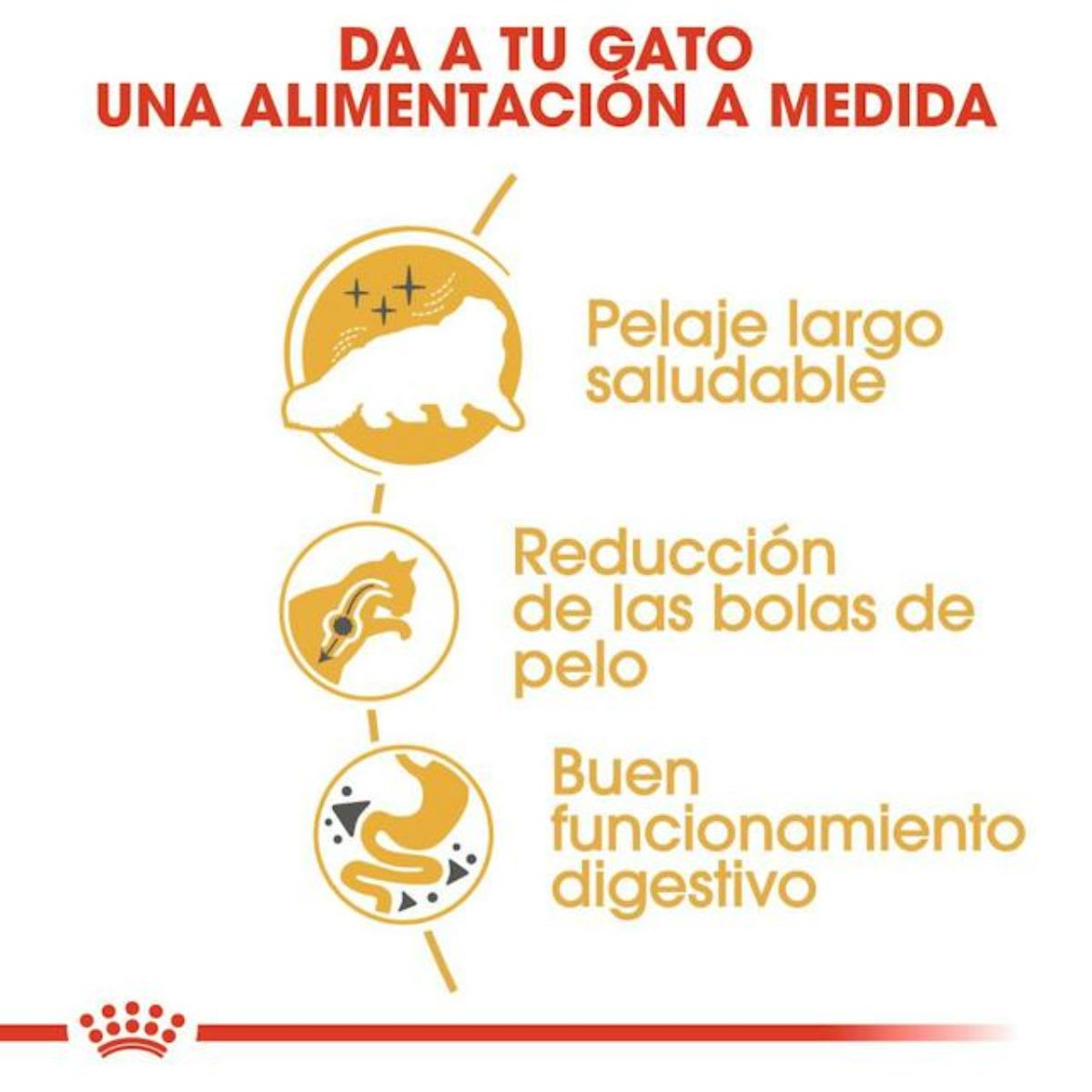 Royal Canin Cat FBN Persian 4 kg3