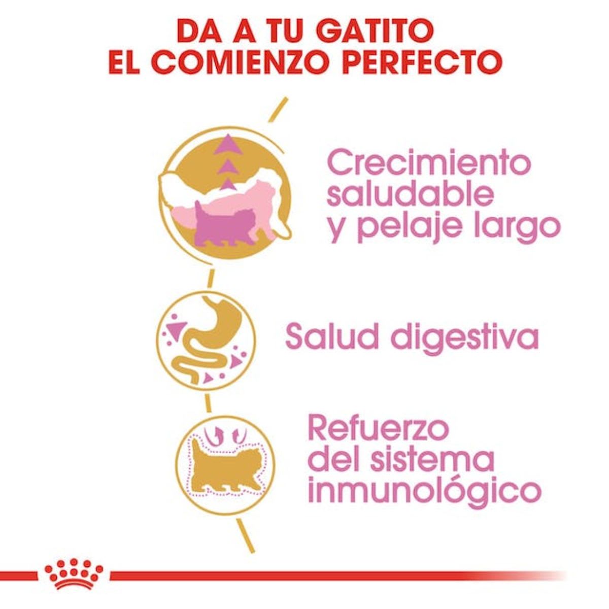 Royal Canin Cat FBN Persian Kitten3