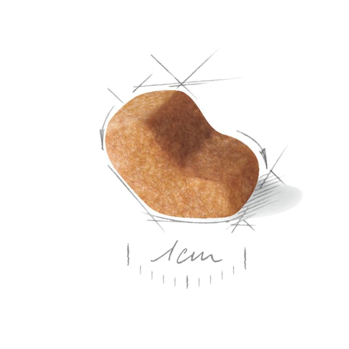 Royal Canin BHN Shih tzu Puppy 1.5 kg2