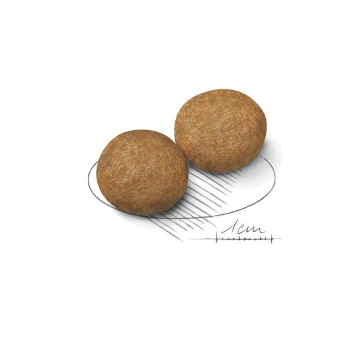 Royal Canin Dog SHN Medium Adulto2