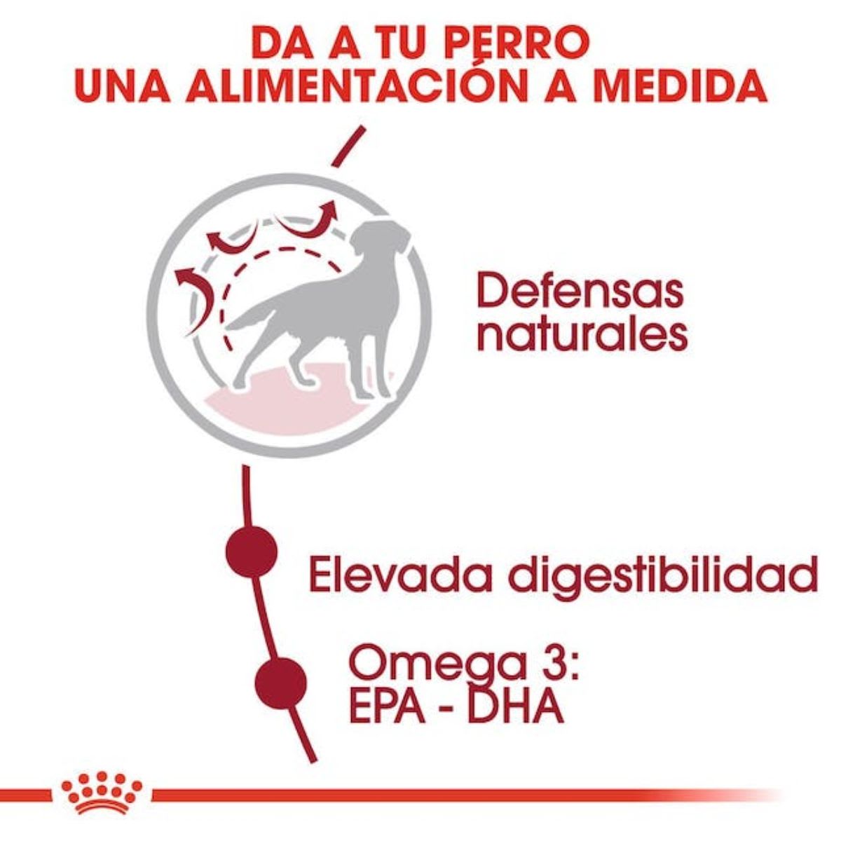 Royal Canin Dog SHN Medium Adulto3