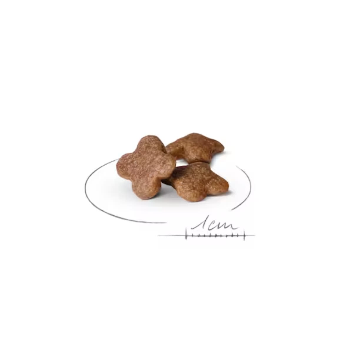 ROYAL CANIN DOG SHN MINI ADULT 8+2