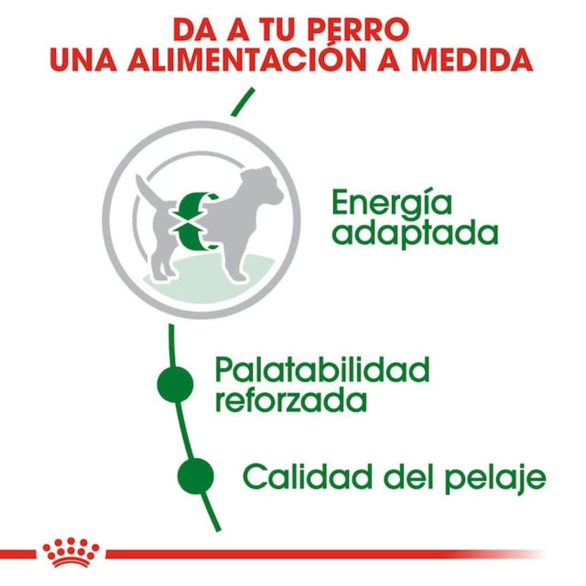 Royal Canin SHN Mini Adulto 4 kg3