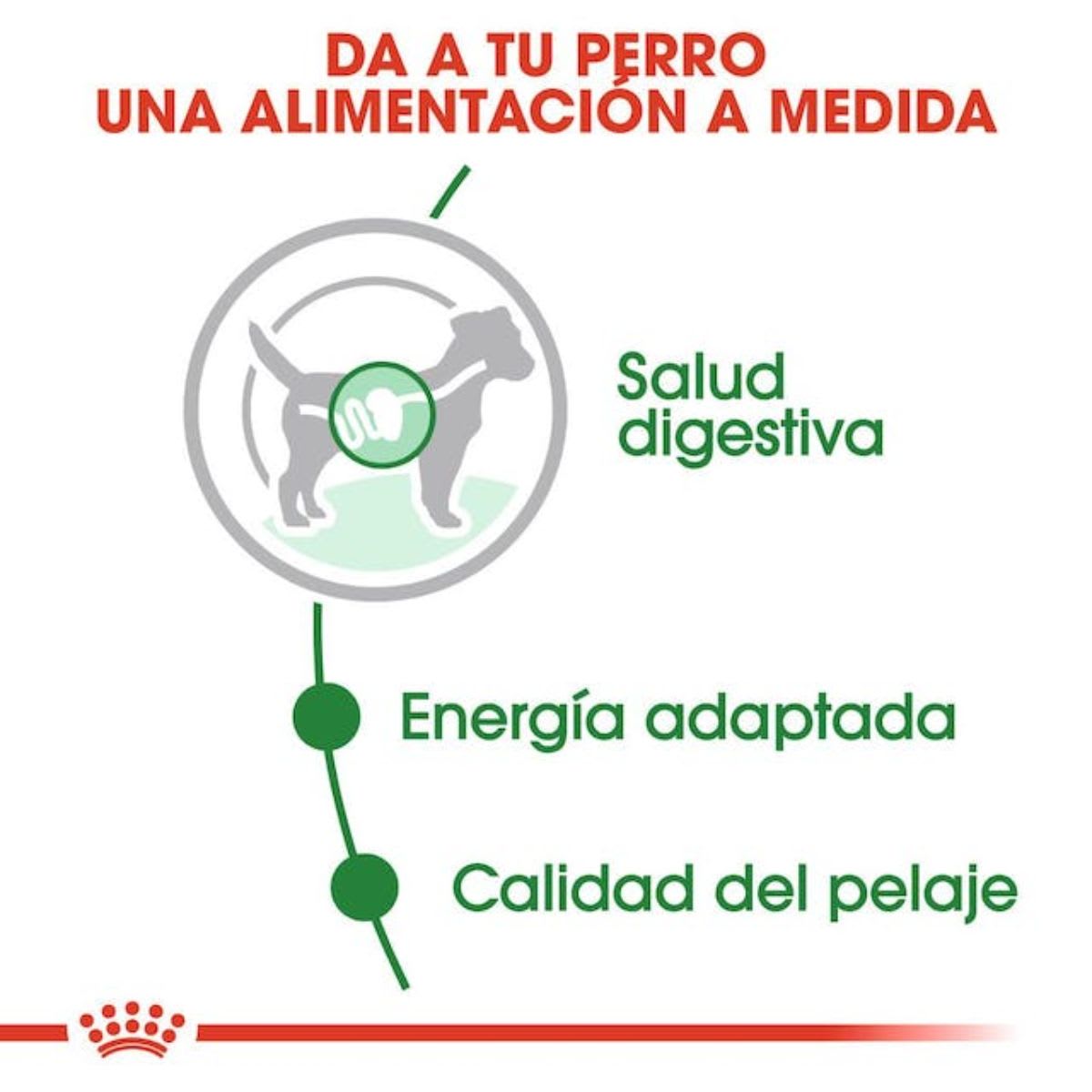 Royal Canin SHN Mini Adulto Gravy sachet 85 g3