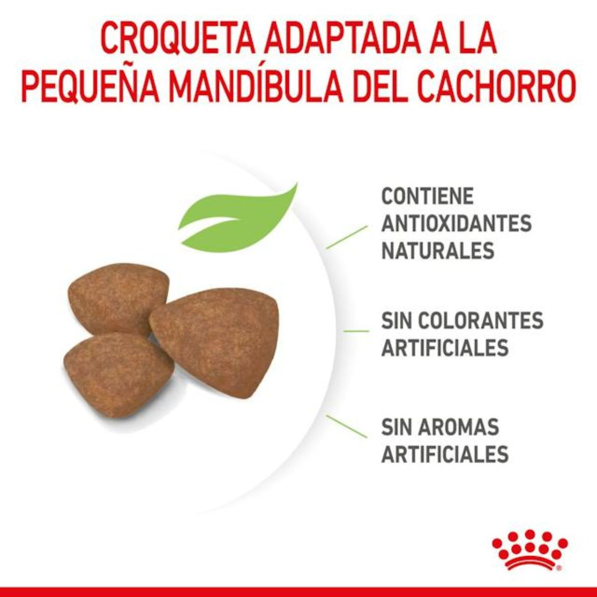 Royal Canin Dog SHN Mini Puppy2