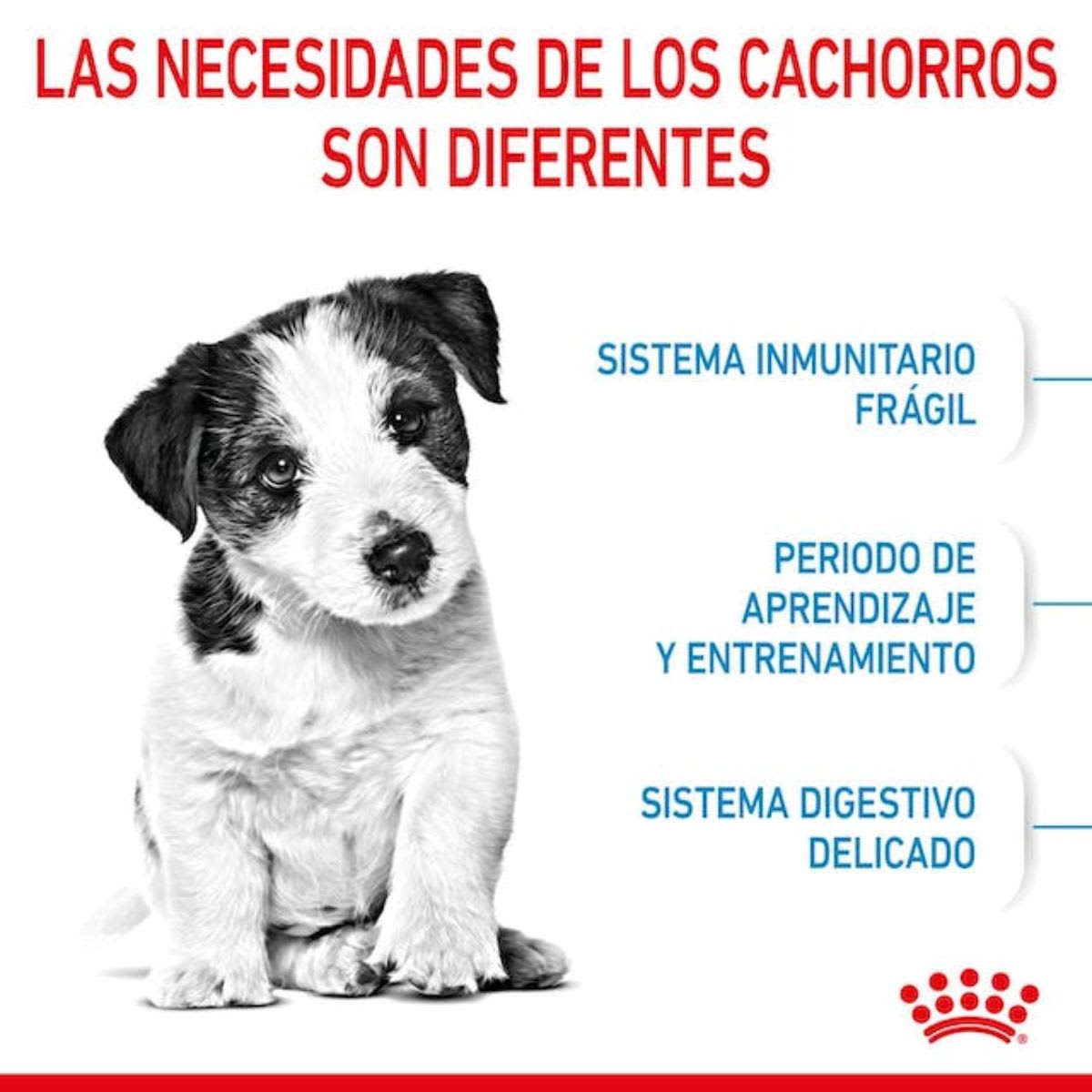 Royal Canin Dog SHN Mini Puppy3