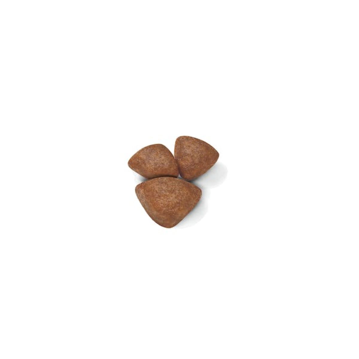 Royal Canin Dog SHN Mini Starter 4 kg2