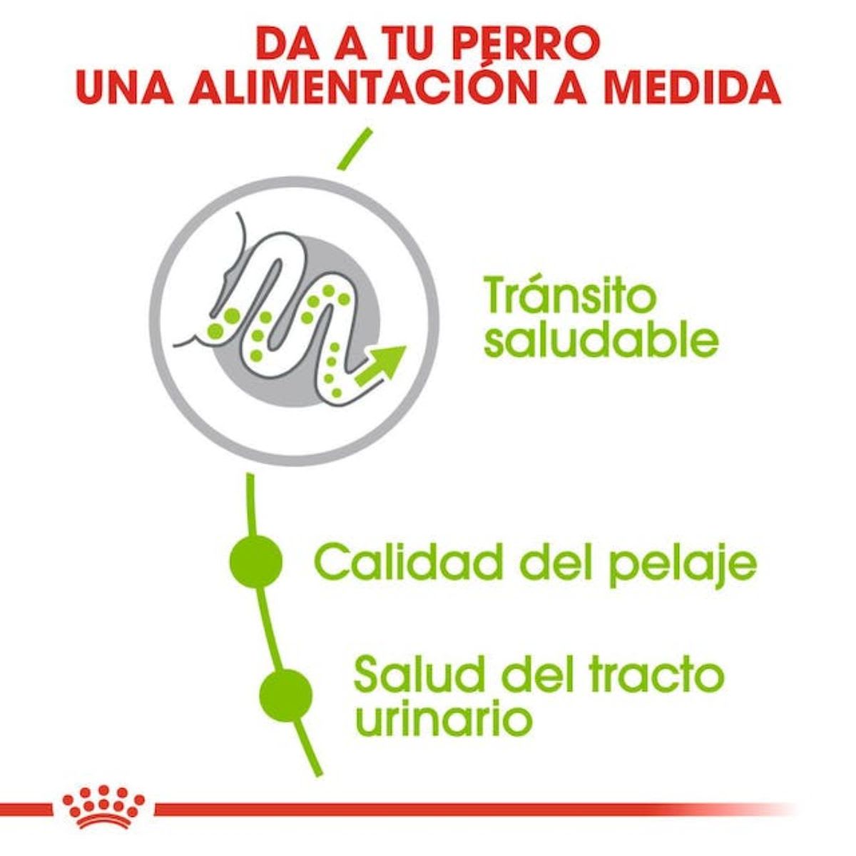 Royal Canin SHN XSmall Adulto 1.5 kg3