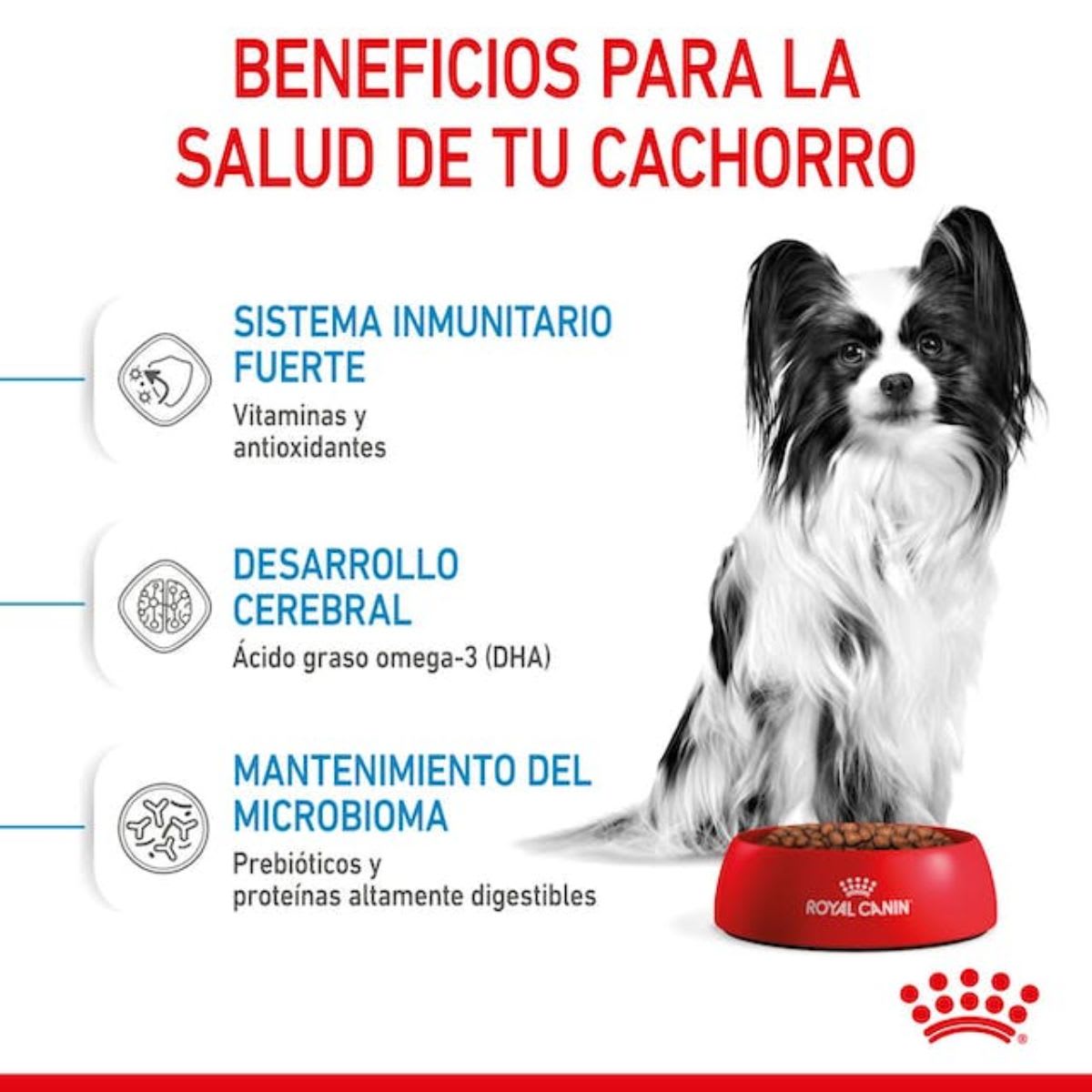 Royal Canin Dog SHN XSmall Puppy3