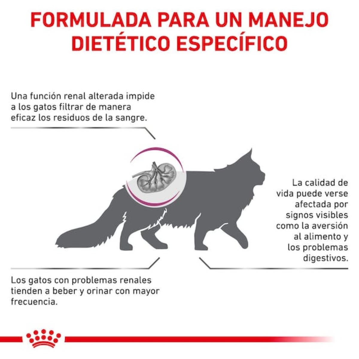 Royal Canin Cat VHN Renal2