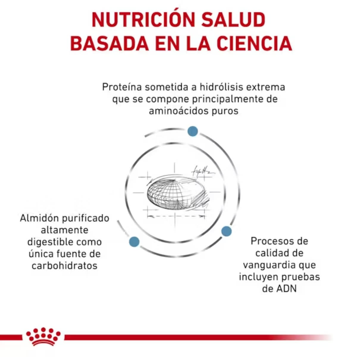 Royal Canin Dog VHN Anallergenic 3 kg2