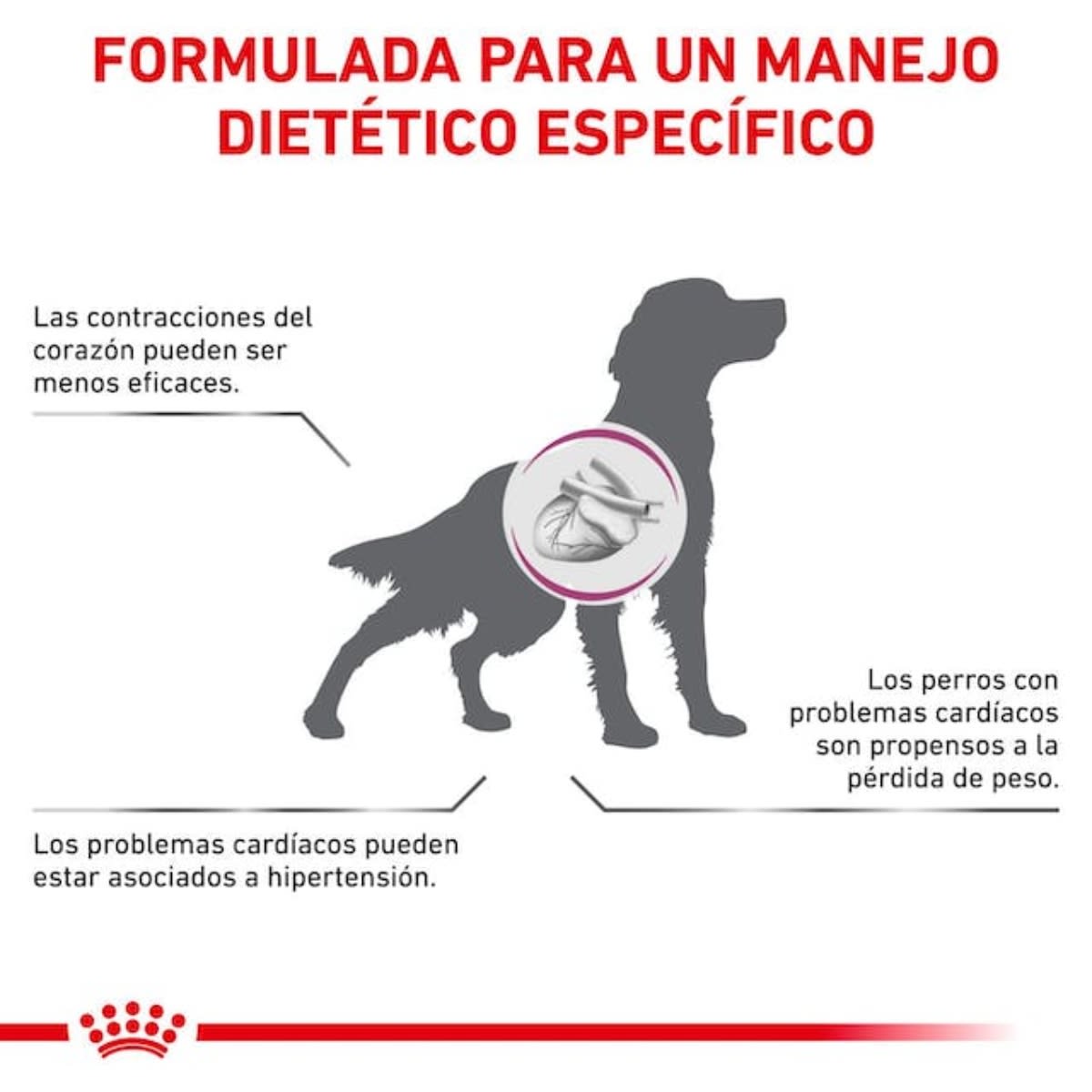 Royal Canin Dog VHN Cardiac 2 kg2