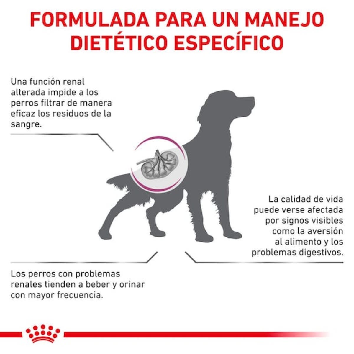 Royal Canin Dog VHN Renal2