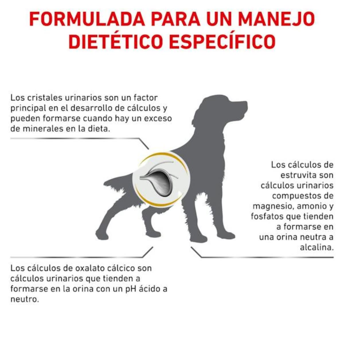 Royal Canin Dog VHN Urinary SO2