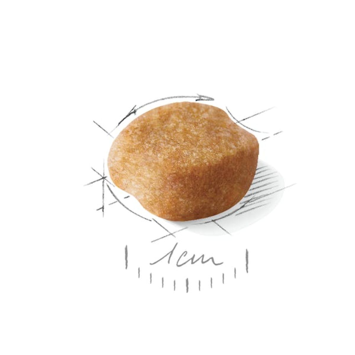 Royal Canin Dog BHN Yorkshire Adulto2