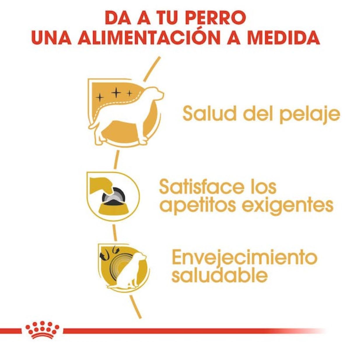 Royal Canin Dog BHN Yorkshire Adulto3
