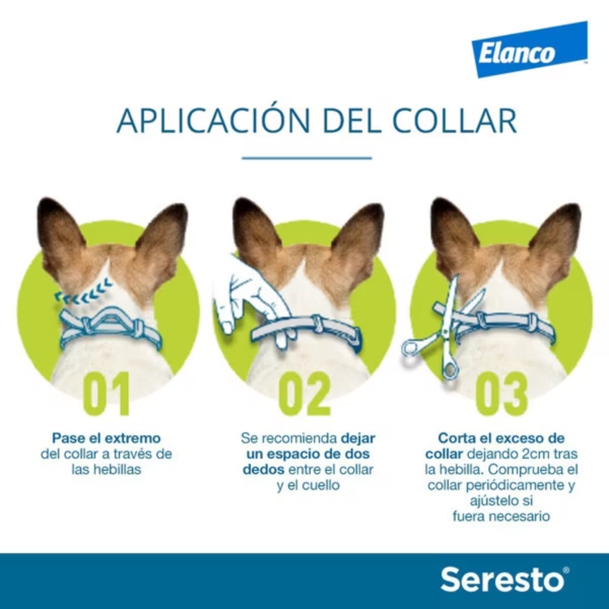 Seresto collar perros pequeños y gatos < 8 kg2