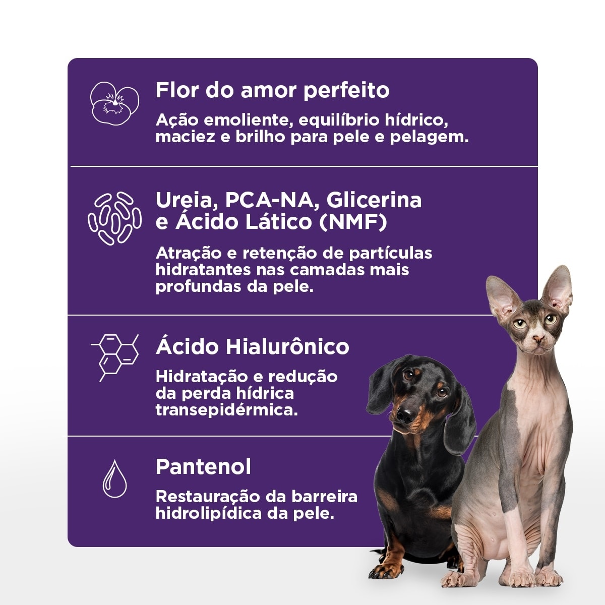 SOFT CARE HYDRA T 240 ML3