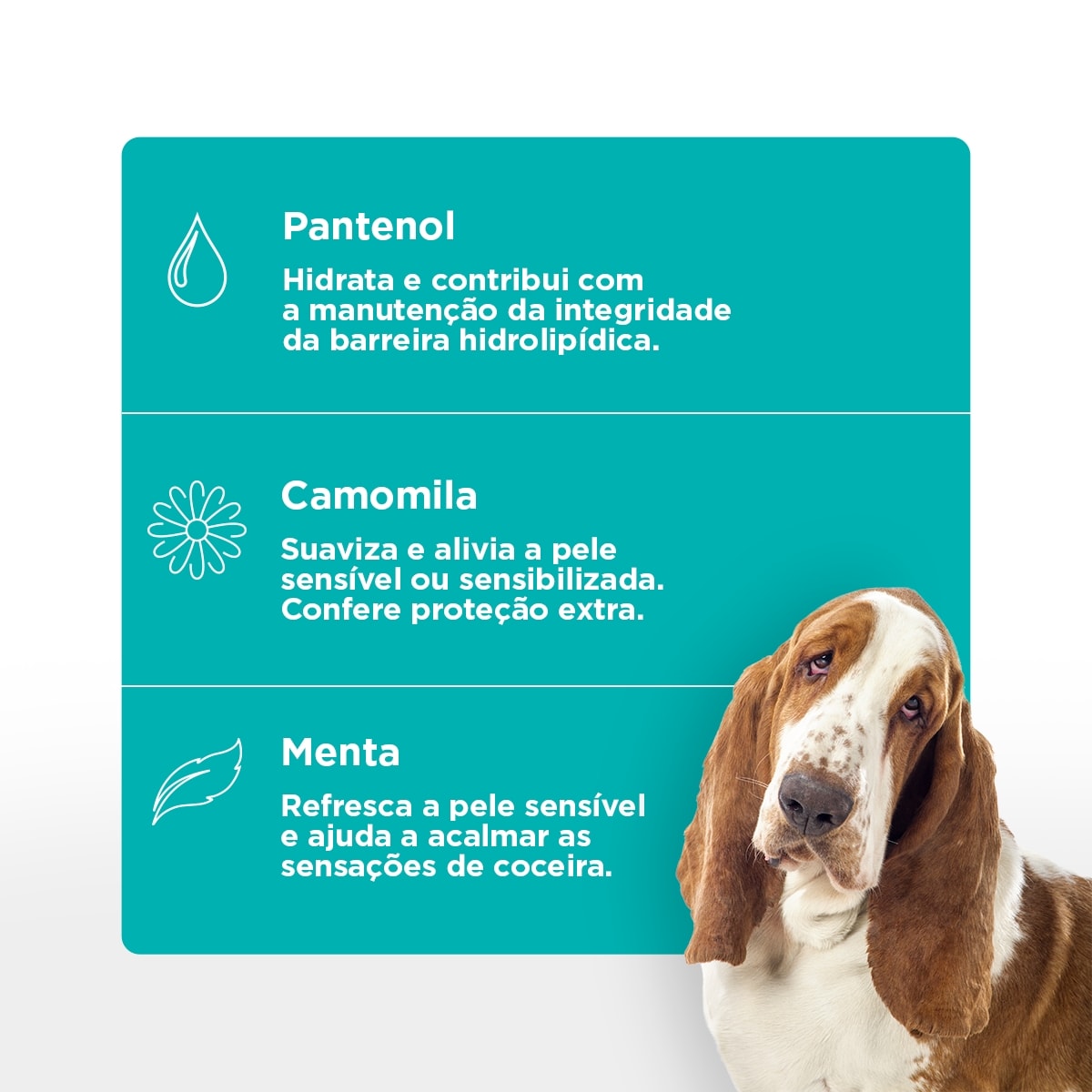 SOFT CARE OTO CLEAN UP 100 ML3