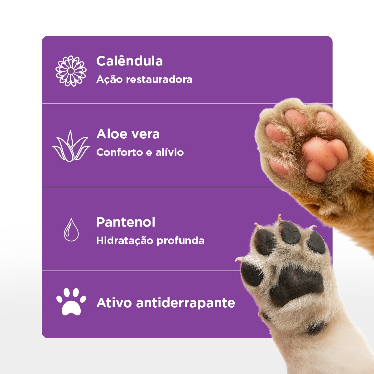 SOFT CARE PET GLOVE 50 GR3