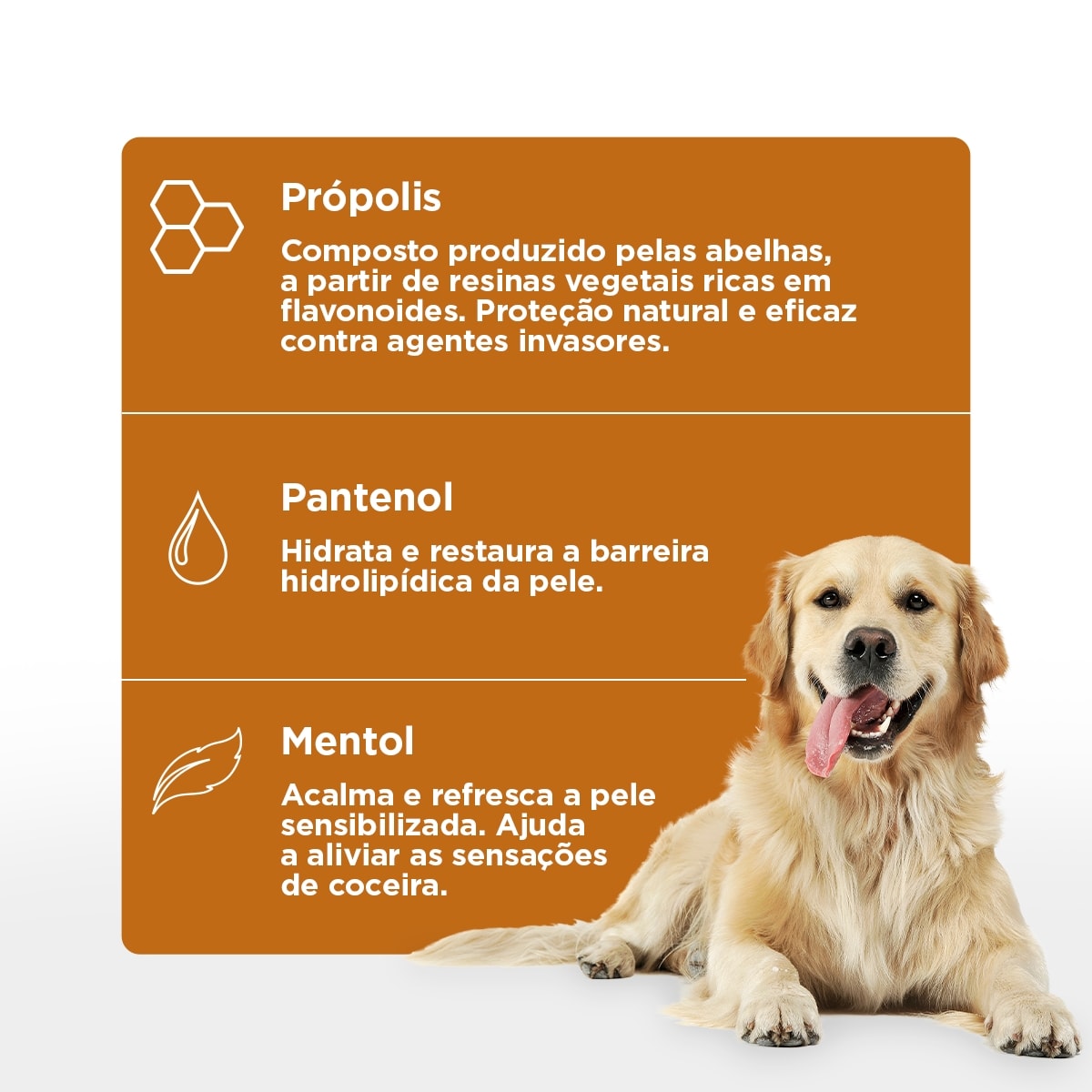 SOFT CARE PROPCALM SHAMPOO 300 ML2