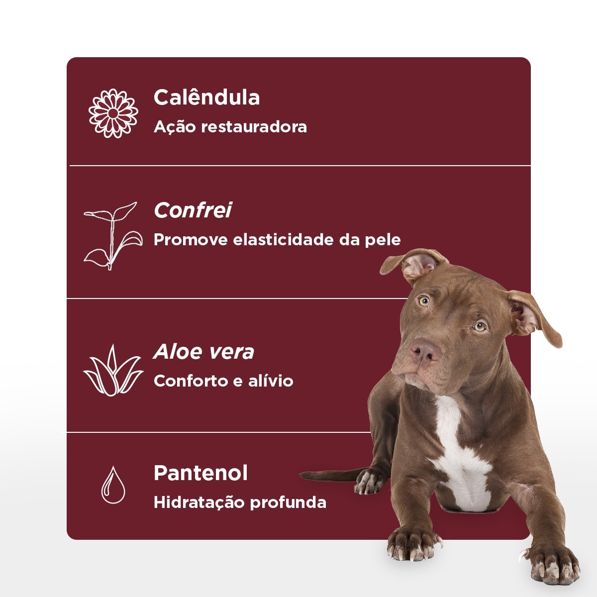 SOFT CARE PSK REPAIR SYSTEM 50 G3