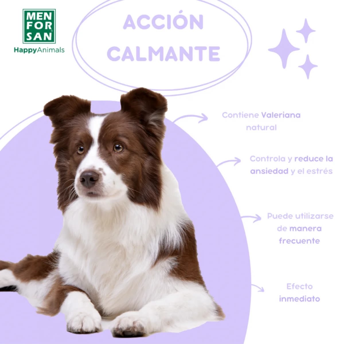 SPRAY CALMANTE PARA PERROS MEN FOR SAN 60 ML2