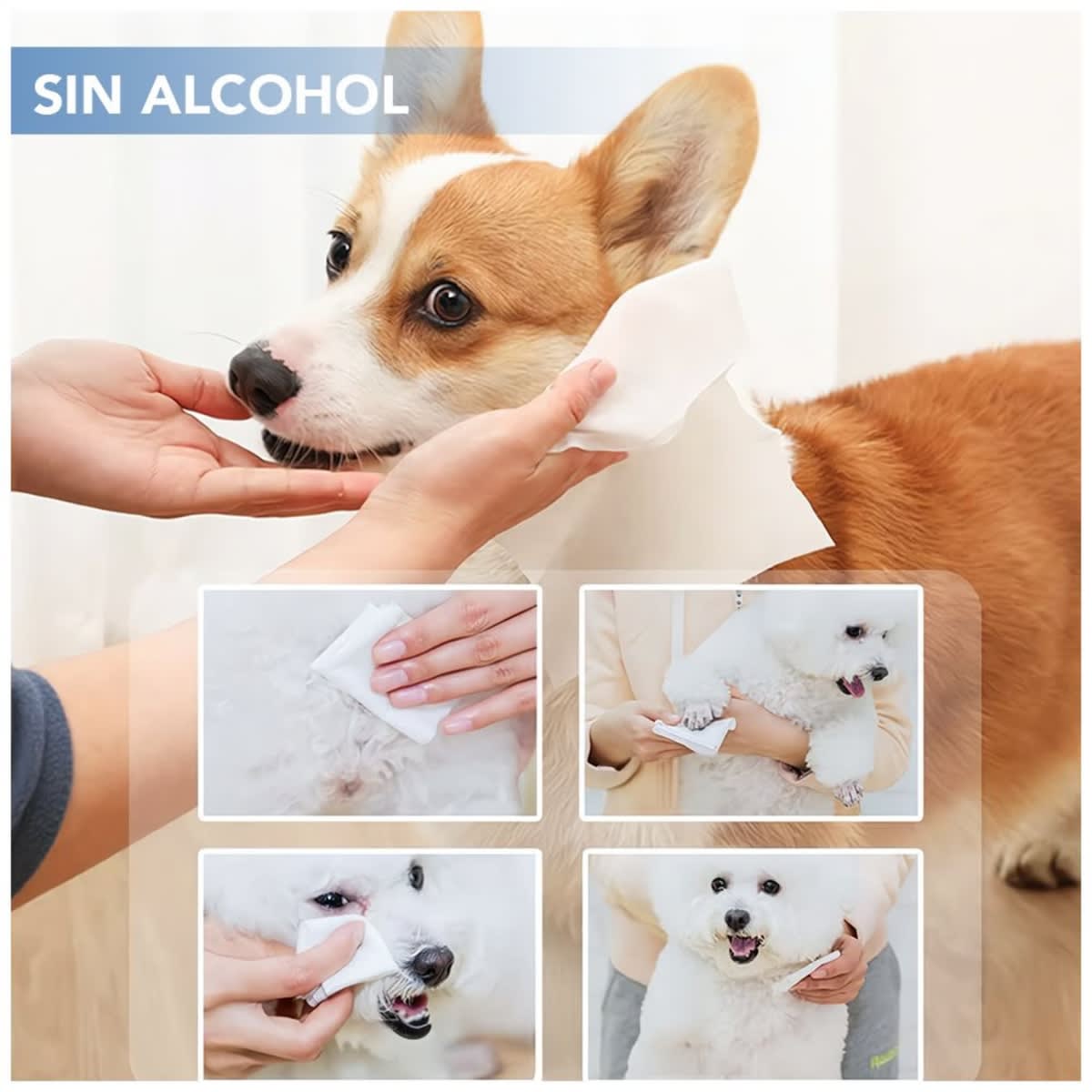 Toallas húmedas para mascotas 50 und2