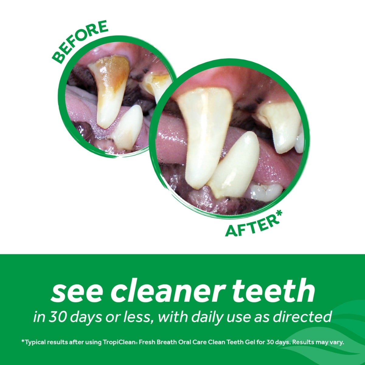 Tropiclean Kit dental canino4