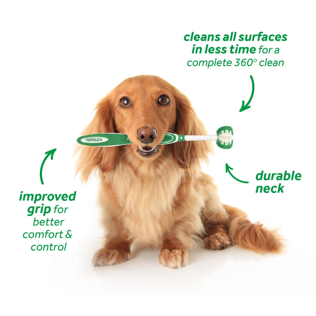 Tropiclean Kit dental canino5
