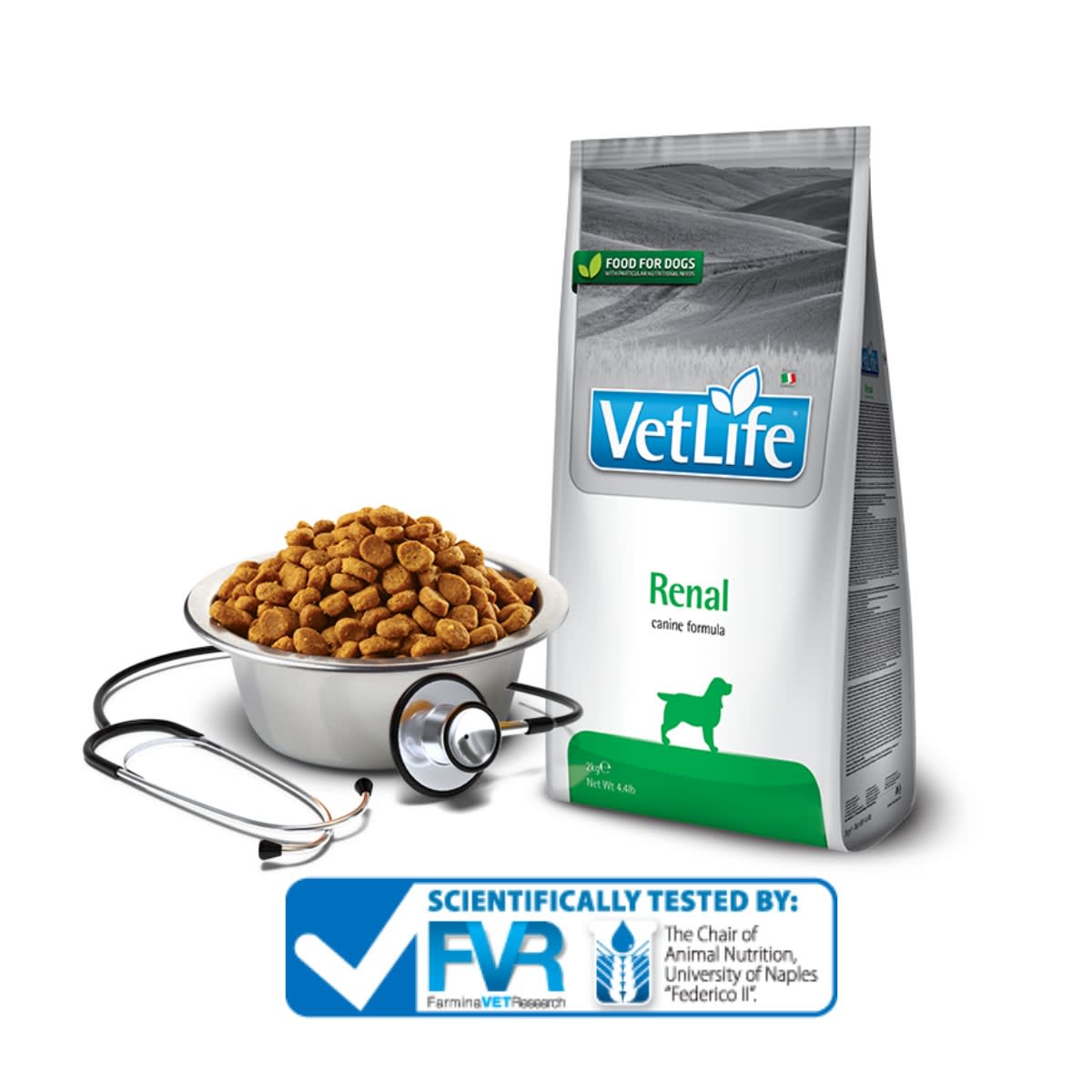 Vet Life Canino Renal 2 kg2