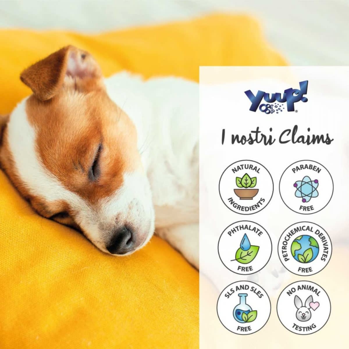 Yuup Home Gentle shampoo for puppies (cachorros y pieles sensibles)3