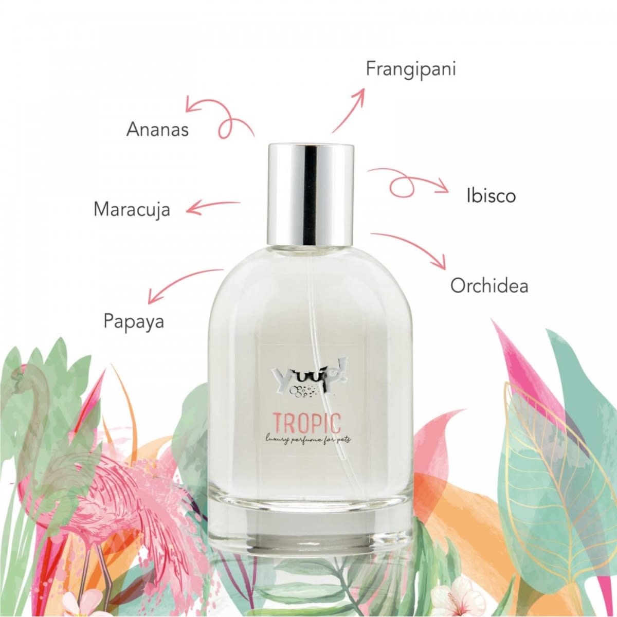 Yuup Home Tropic Luxury perfum for pets2