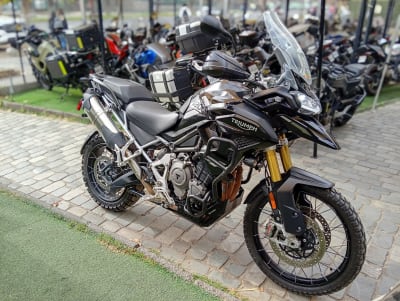 TRIUMPH TIGER 1200 RALLY PRO 2024