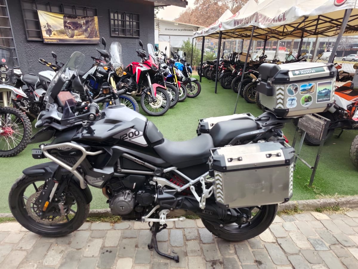 TRIUMPH TIGER 1200 GT PRO 20253
