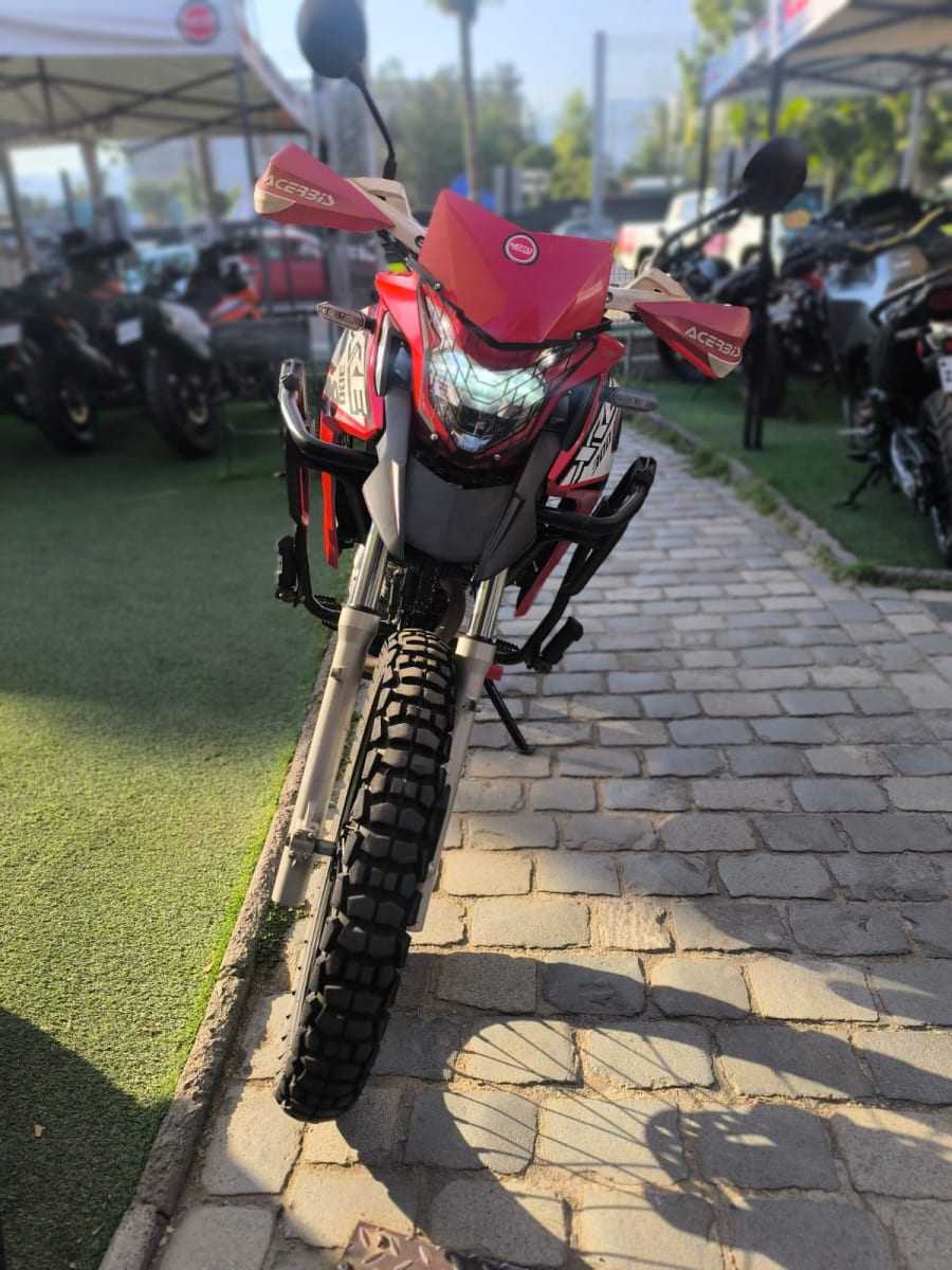 HONDA XRE 300 ABS 20228
