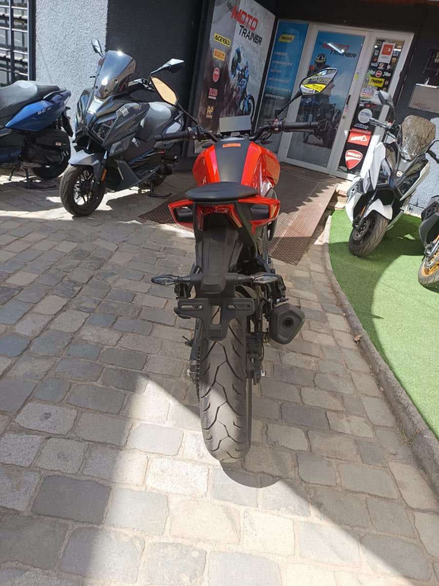 MORBIDELLI N300 20264