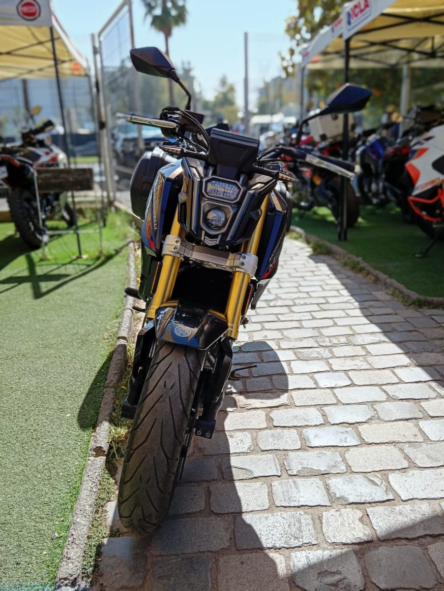 MORBIDELLI M502N 20258